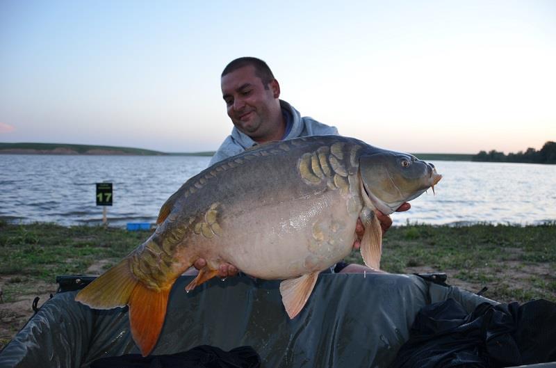 crapi de sarulesti - 1471386660773740650275690703650n.jpg